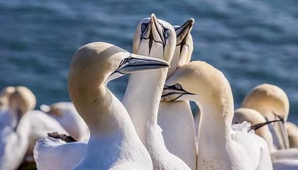 黑料吃瓜网——吃瓜爆料有人喊“实锤”——我只问一个：关键线索在哪？