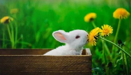 蘑菇视频 ｜ 心态崩了：不再讨好，越扒越离谱