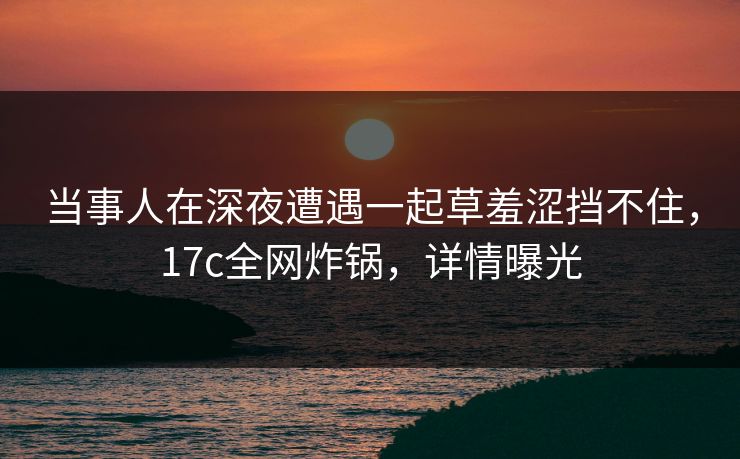 当事人在深夜遭遇一起草羞涩挡不住，17c全网炸锅，详情曝光